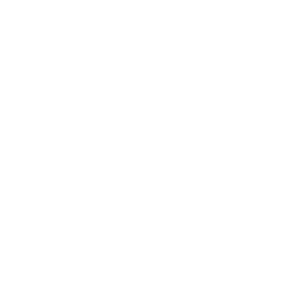 Kleen Logo