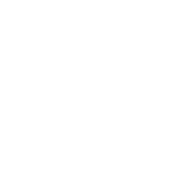 Kleen Logo